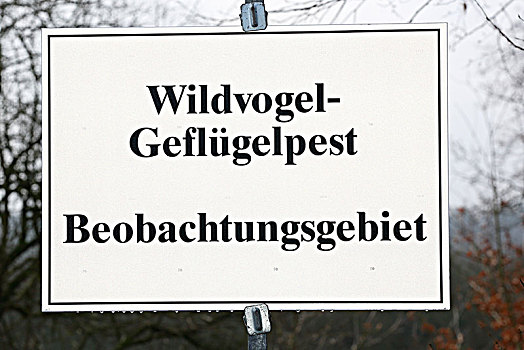 警告标识,禽流感,监视,区域,石荷州,德国,欧洲