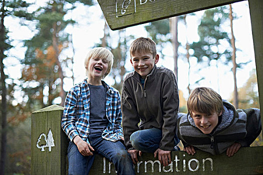 三个男孩,攀登,树林