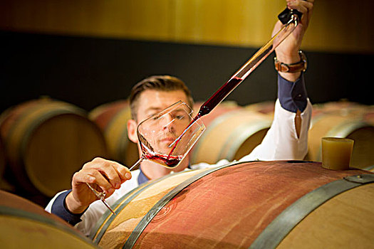 葡萄酒,品质,检查,专家,放,样品,玻璃,博尔查诺,省,南蒂罗尔,特兰迪诺,意大利