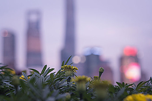 上海一角