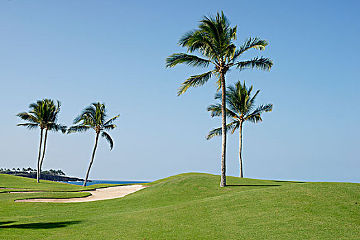 看,上方,高尔夫球场,海洋,夏威夷,美国