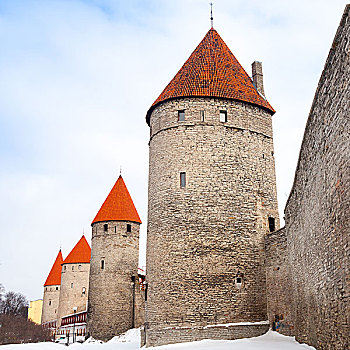 古老,石头,要塞,墙壁,塔,排,塔林,爱沙尼亚