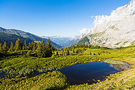山,反射,高山,湖,伯尔尼阿尔卑斯山,瑞士