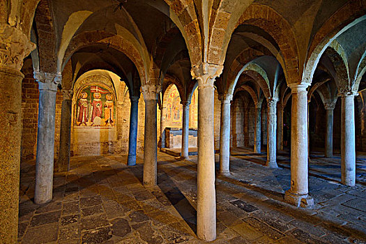 大厅,地穴,古老,柱子,大教堂,维泰博,拉齐奥,意大利,欧洲