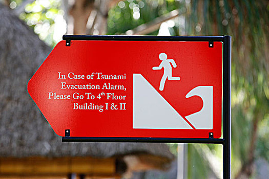 海啸,警告标识,酒店,复杂,巴厘岛,印度尼西亚,东南亚,亚洲