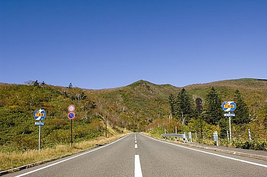 道路,秋天