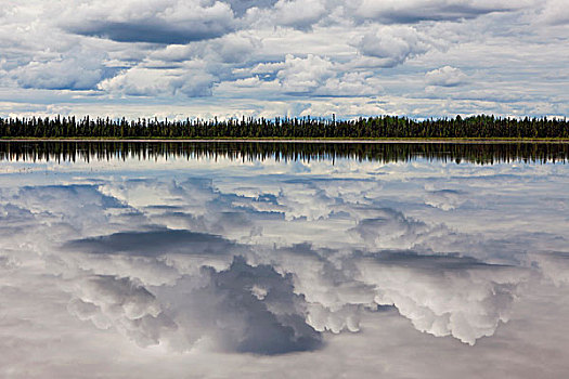 云,反射,湖,靠近,阿拉斯加,美国
