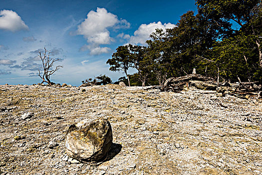 大,岩浆,石头,火山,岛屿,印度尼西亚,背景,枯木