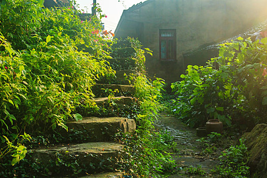 鄞州,塘溪镇,塘溪,古村,东山古村,山村,村庄,古韵