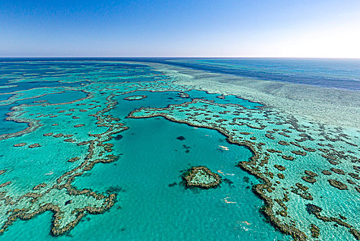 珊瑚礁,心形,礁石,局部,大堡礁,昆士兰,澳大利亚,大洋洲
