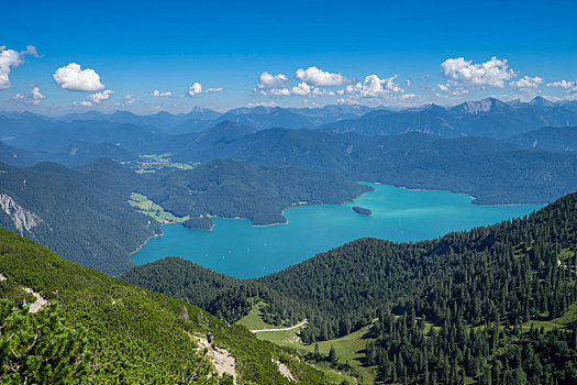 德国,巴伐利亚,巴伐利亚阿尔卑斯山,瓦尔幸湖,风景,夏天