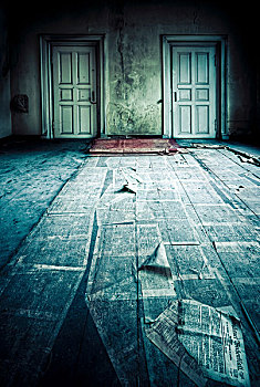 房间,两个,门,报纸,地板