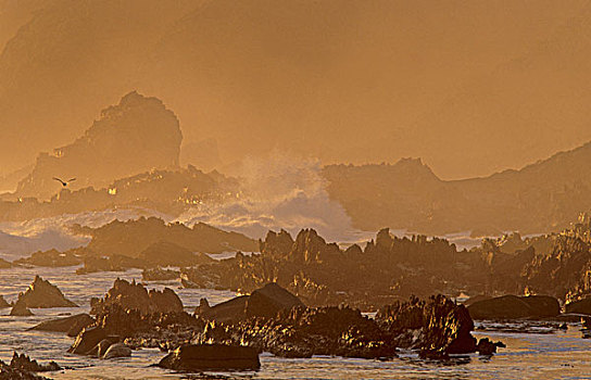 海景,黃昏,国家公园,西海角,南非