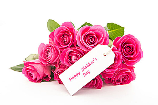 特写,花束,粉色,玫瑰,高兴,母亲节,卡,白色背景