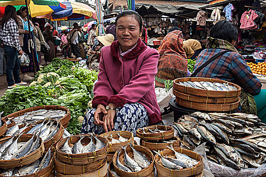 女人,销售,鱼,市场,钳,掸邦,缅甸,亚洲