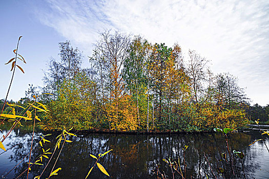 秋天,岛屿,彩色,树,秋色,湖,风景,反射,水