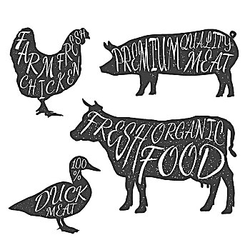 家畜,象征,鸡肉,母牛,鸭肉,猪