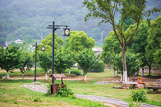 南京不老村风景