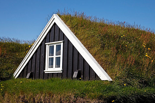 传统,木屋,草,屋顶,博物馆,斯奈山半岛,西部,冰岛,欧洲