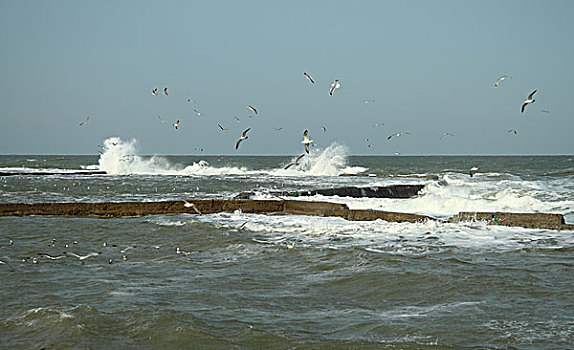 海滨风景