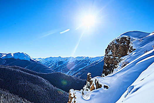 日光,风景,积雪,山,白杨,科罗拉多,美国