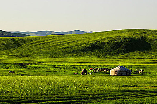 草原上蒙古族人家