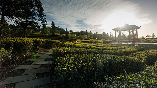 四川宜宾屏山蜿蜒茶山自然风光