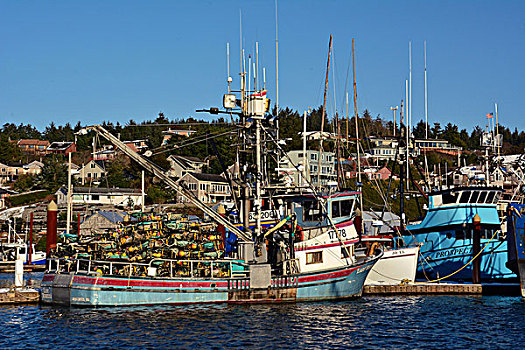打渔船队,纽波特,俄勒冈,美国