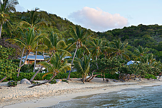加勒比,英属维京群岛,岛屿,海滩,和谐,大幅,尺寸