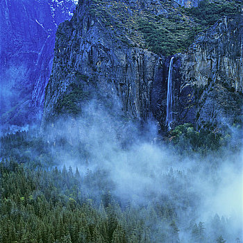 瀑布,树林,婚纱瀑,优胜美地山谷,优胜美地国家公园,加利福尼亚,美国