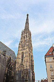 圣斯特凡大教堂在维也纳,奥地利