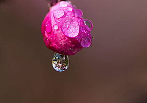 水点