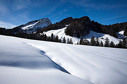 风景,山,雪,山峦,阿彭策尔,区域,瑞士,欧洲