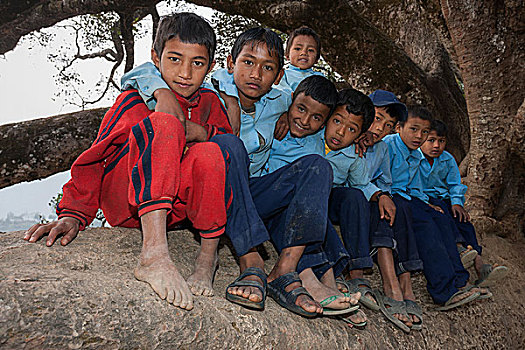 尼泊尔人,学生,穿,校服,坐,树,尼泊尔,亚洲