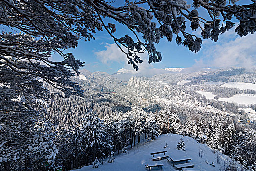 塞梅宁,风景,铁路,山,列车,维也纳,阿尔卑斯山,下奥地利州,奥地利