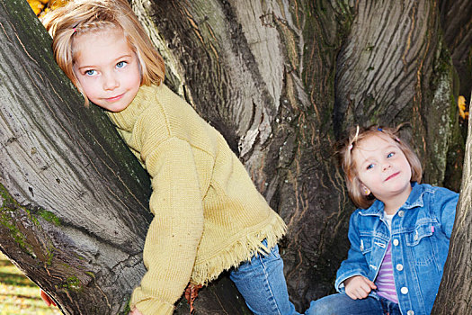 两个女孩,4岁,树,公园,秋天