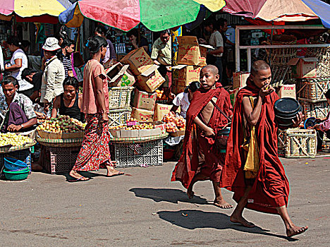 缅甸,仰光,僧侣,市场