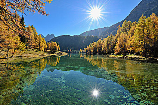 湖,落叶松,太阳,秋天,瑞士