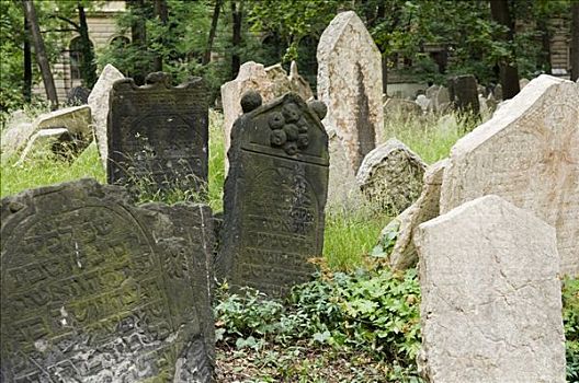 墓碑,老,犹太,墓地,布拉格,捷克共和国