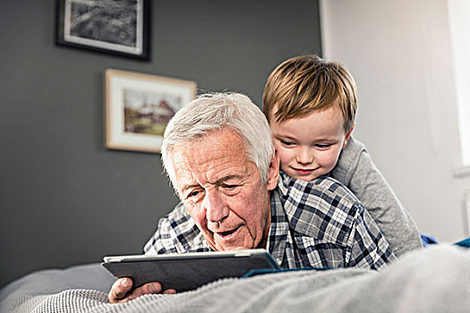 老人,孙子,读,数码,床