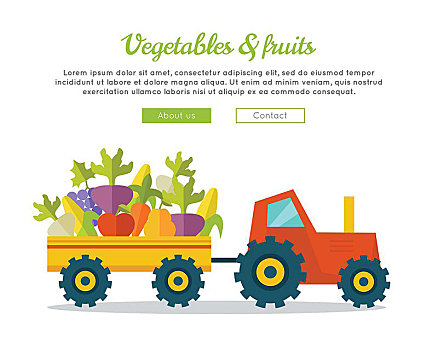 蔬菜,水果,农场,概念,旗帜,设计,递送,新鲜,商品,市场,拖拉机,拖车,绿色,模版,店,运输,网页,矢量
