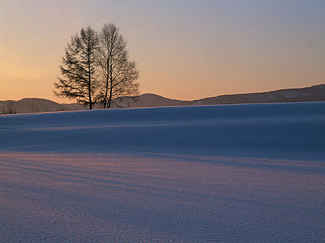 雪原,朝日