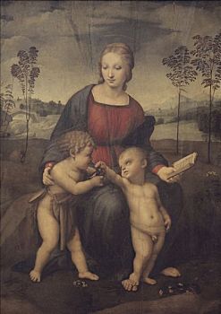 圣母玛利亚,金翅雀,意大利人,油画,佛罗伦萨,意大利