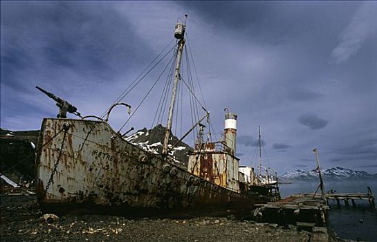 残骸,捕鲸,船,海岸,南乔治亚,福克兰群岛