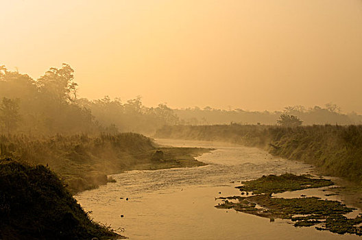太阳,上升,上方,小,雾状,河,早,早晨,国家公园,尼泊尔,亚洲