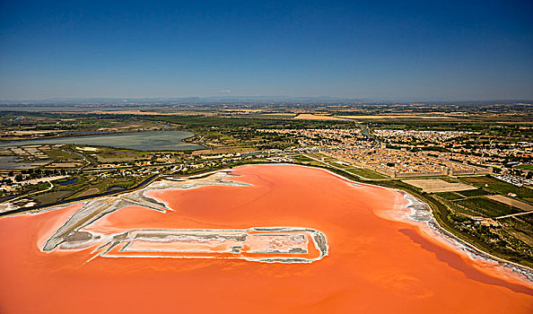 盐,蒸发,水塘,制作,艾格-莫特,卡马格,区域,法国