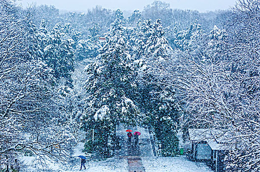 明孝陵雪景