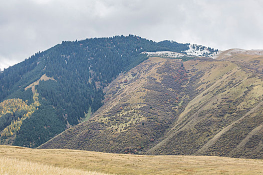 美景,风景,掸邦,山,吉尔吉斯斯坦