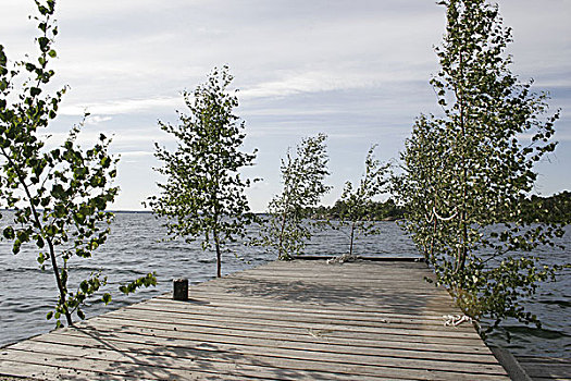 瑞典,斯德哥尔摩,湖,码头,装饰,桦树,特写,斯堪的纳维亚,海岸,桥,木桥,荒芜,树,宽叶树,传统,户外