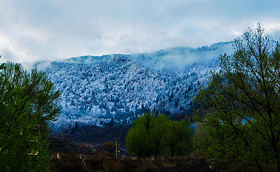 九寨沟,松潘雪景